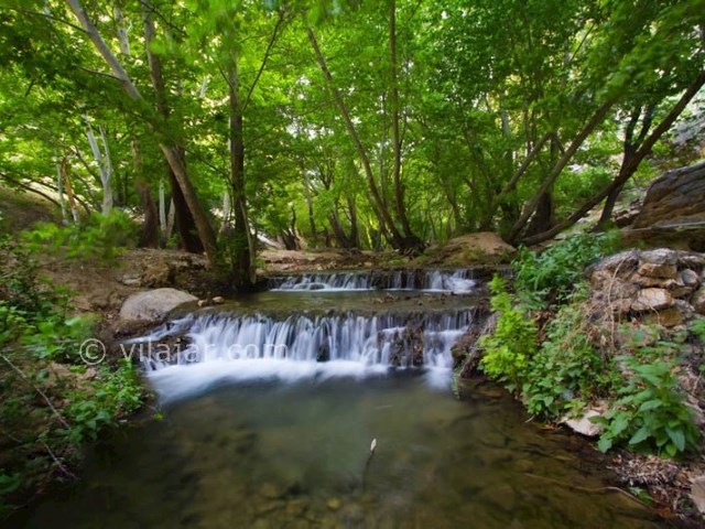 عکس شماره 4 - تنگ براق