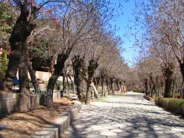 عکس شماره 3 - بوستان سیفیه ملایر