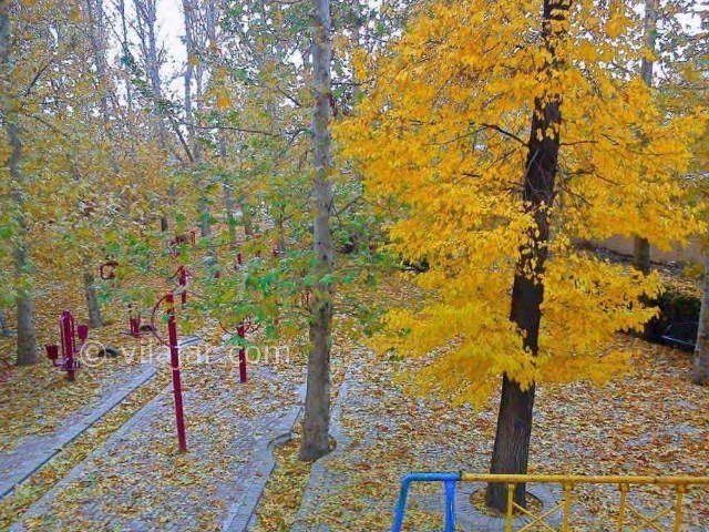 عکس شماره 10 - بوستان سیفیه ملایر