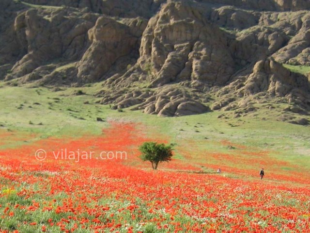 عکس شماره 4 - مهراب کوه دلفان