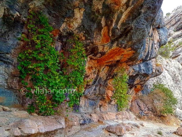 عکس شماره 7 - تنگه تامرادی یاسوج