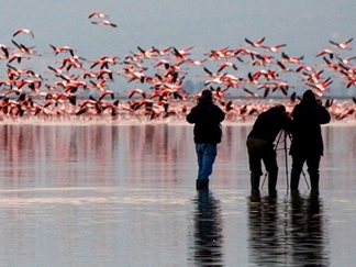 تالاب میانکاله کجاست؟