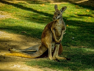 باغ وحش ارم تهران
