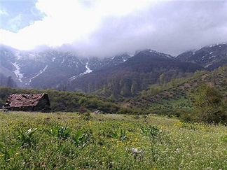 روستای برنت سوادکوه