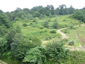 دریاچه الیمالات نور