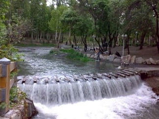 پارک جنگلی طرق مشهد