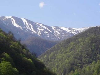 منطقه حفاظت شده واز