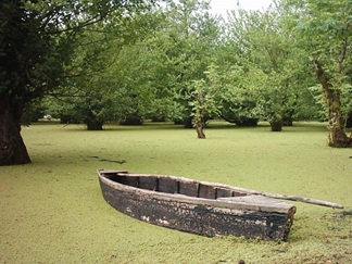 تالاب استیل یا دریاچه متحرک