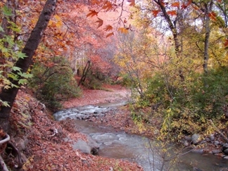 روستای آغشت کجاست؟