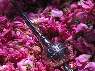 مراسم گلاب گیری در کاشان