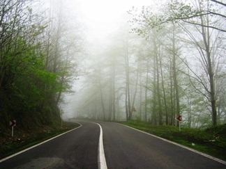 جنگل عباس آباد