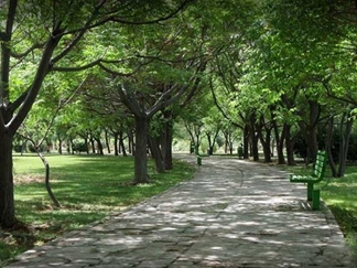 پارک جنگلی توسکا تهران