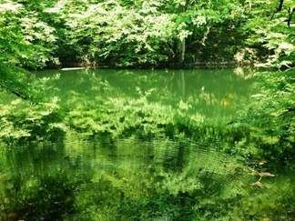 تالاب فراخین (دریاچه فراخین)