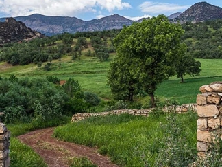 مخمل کوه خرم آباد