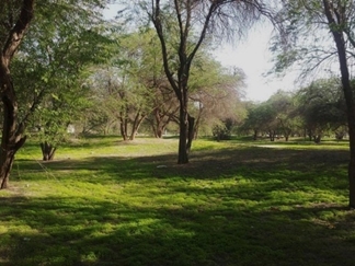 پارک جنگلی چاهکوتاه بوشهر