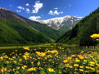 دشت دریاسر کجاست؟