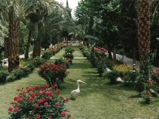 باغ گلشن طبس