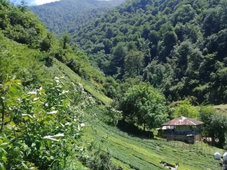 روستای فوشه نزدیک قلعه رودخان