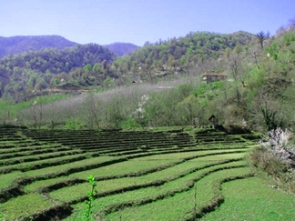 روستای لمسوکلا