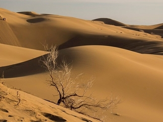 کویر کاراکال بافق