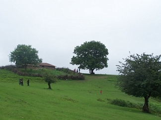 منطقه ییلاقی چلاو آمل