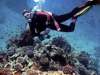 غواصی در جزیره کیش