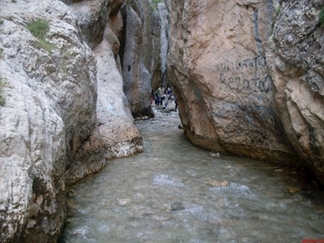 تنگه تنگ دار در نوشهر