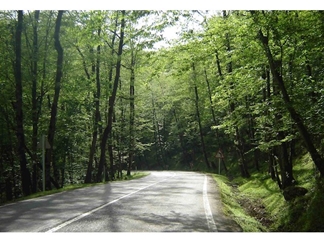 جنگل دالخانی رامسر کجاست؟