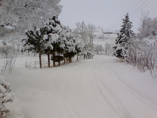 طبیعت طالقان