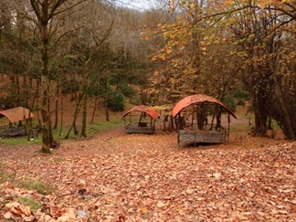 پارک جنگلی جوارم