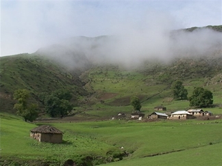 خصیل دشت (خصیب دشت)