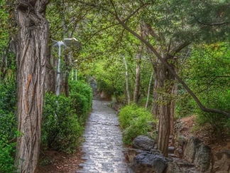 باغ سنگی جمشیدیه
