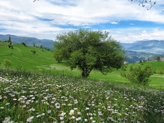 روستا و ییلاق سی دشت رودبار