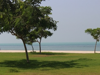 بوستان شغاب بوشهر