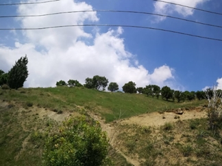 پارک جنگلی سوهانک