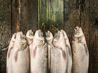 بازار ماهی فریدون کنار