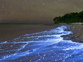 ساحل نقره فام جزیره هنگام