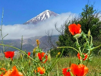 جاذبه های گردشگری رینه