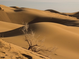 کویر مرنجاب