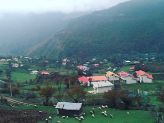 ییلاق مریان تالش