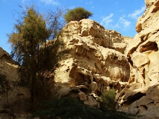 تنگه عالی محمد قشم