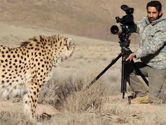 یوزپلنگ ایرانی