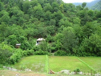 روستا و پارک جنگلی بابلکنار