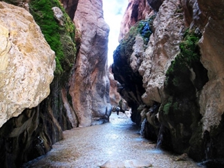 چشمه آبگرم مرتضی علی