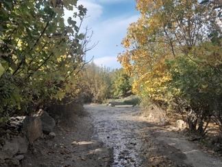 روستای چنارستان و سراب جانیزه