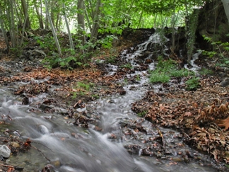 روستای اوره نطنز