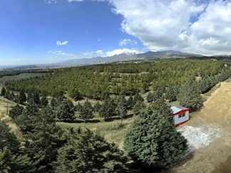 پارک جنگلی شهید باهنر اراک