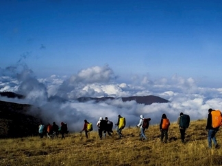 جنگل ابر شاهرود