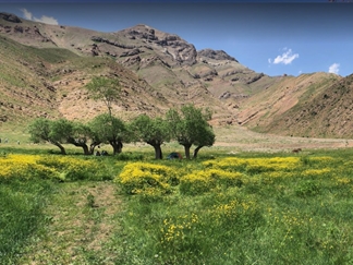 دشت هویج نزدیک تهران