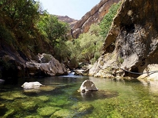 تنگ تیزاب سپیدان